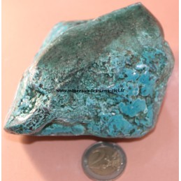 chrysocolle brut