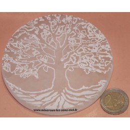 cercle en pierre sélénite blanche avec arbre de vie