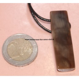 pendentif demi arrondie en bois fossiles